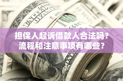 北京担保人起诉借款人合法吗？流程和注意事项有哪些？