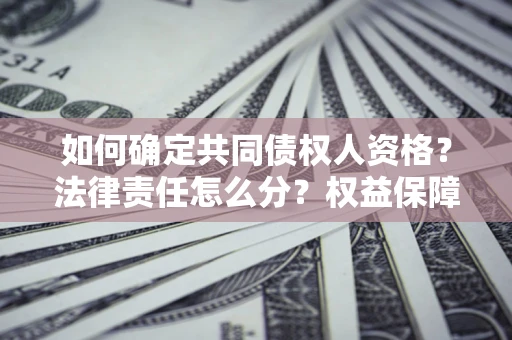 北京如何确定共同债权人资格？法律责任怎么分？权益保障技巧揭秘！