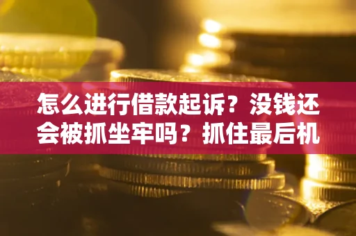 北京怎么进行借款起诉？没钱还会被抓坐牢吗？抓住最后机会！