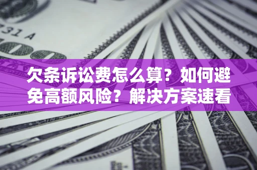 北京欠条诉讼费怎么算？如何避免高额风险？解决方案速看！