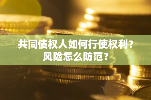 北京共同债权人如何行使权利？风险怎么防范？