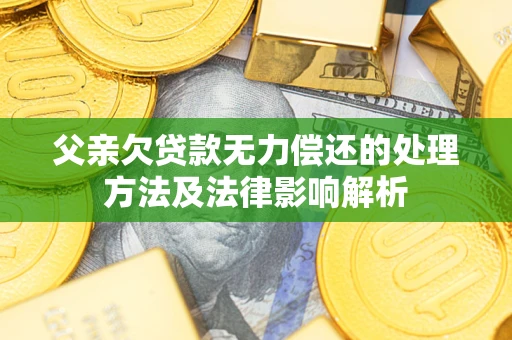 北京父亲欠贷款无力偿还的处理方法及法律影响解析