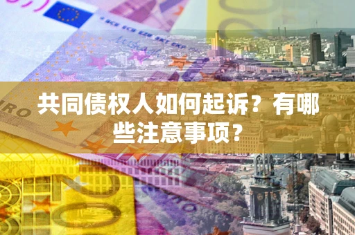 北京共同债权人如何起诉？有哪些注意事项？