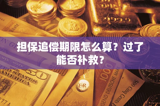 北京担保追偿期限怎么算？过了能否补救？